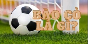 Bào Cỏ Là Gì – Phương Thức Kiếm Tiền Từ Nhà Cái Chuẩn Jun88